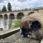 Windsor to Maidenhead