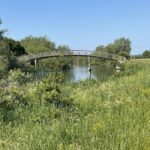 Swinford Bridge to Newbridge